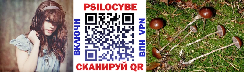 где найти наркотики  Дятьково  Псилоцибиновые грибы прущие грибы 