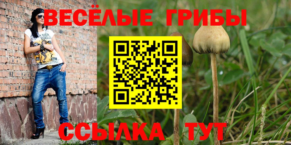 продажа наркотиков  Вход с VPN  Дятьково  Галлюциногенные грибы Cubensis 