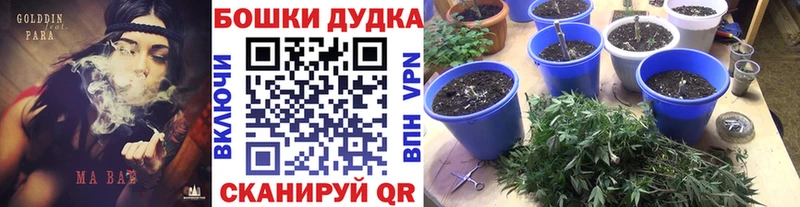 Бошки Шишки AK-47 Дятьково